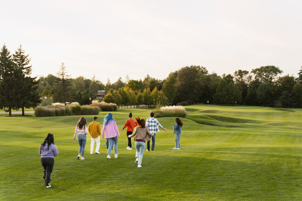 Medium vecteezy group of friends walking on golf course celebrating event 51963198 medium
